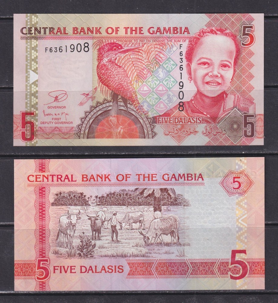 GAMBIA - 2013 5 Dalasis UNC Banknote