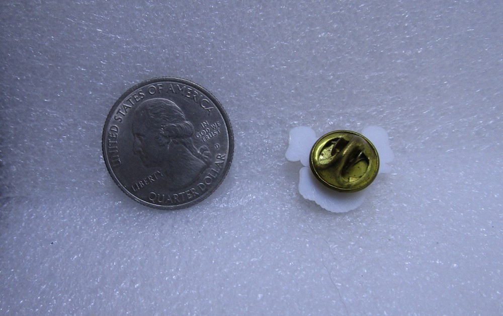 Madawaska Maine Plastic Pin