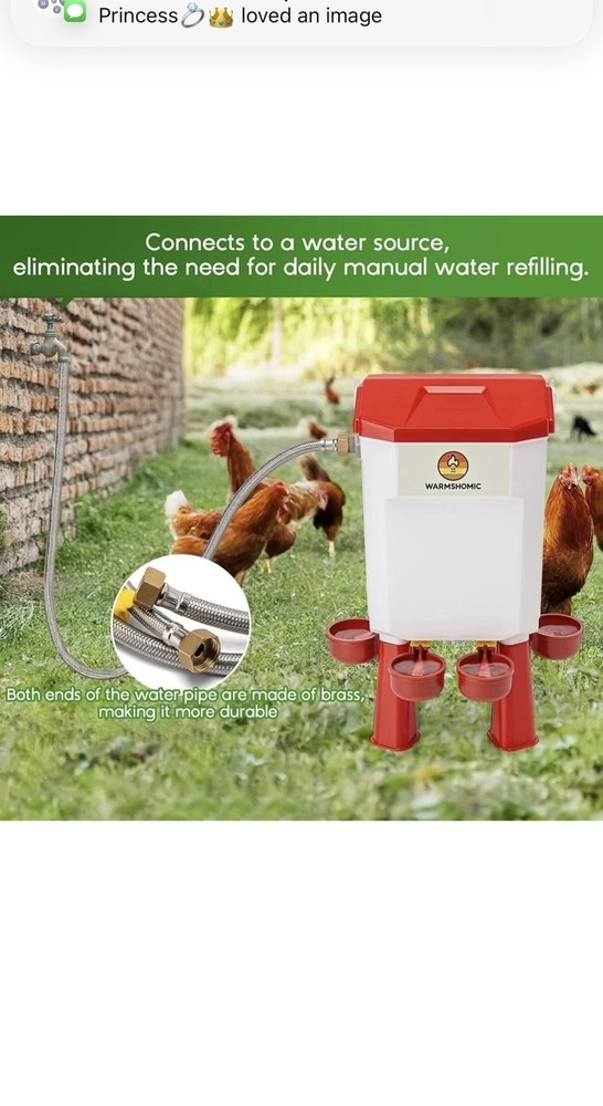 Automatic Chicken Waterer Large Chicken Waterer System
