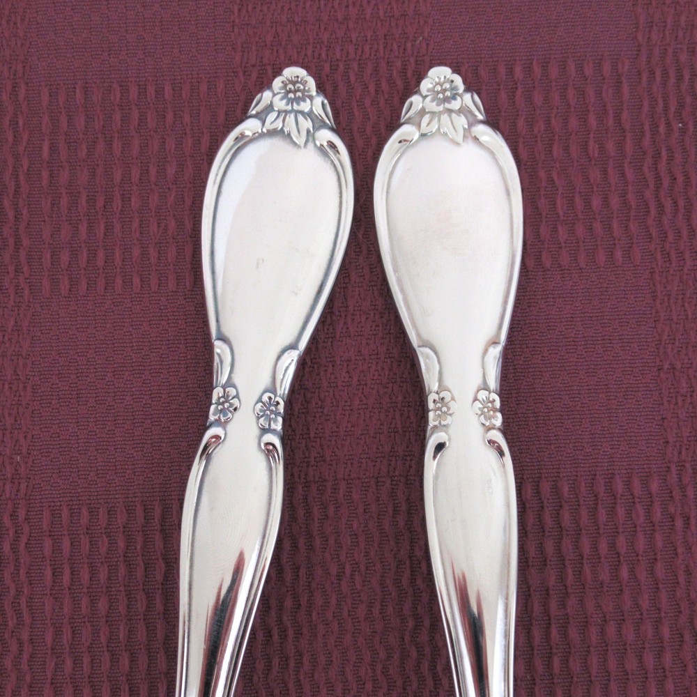 Oneida Community Chatelaine set of 2 serving spoons utensils stainless flatware