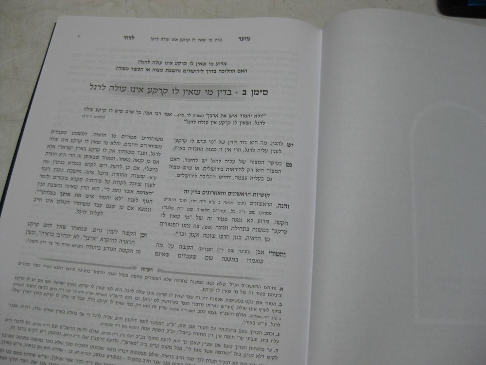 Moed Ledavid on MOADIM by R. David Hofstedter מועד לדוד על המועדים