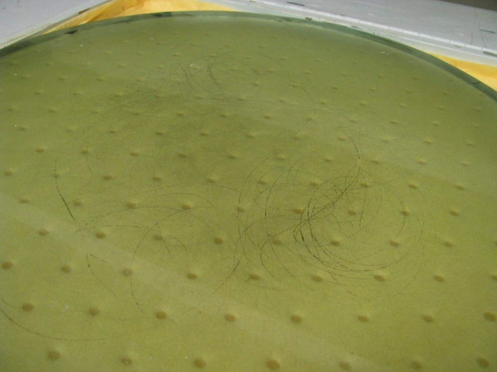 15"x 3/4" Glass Surface Plate - ET46