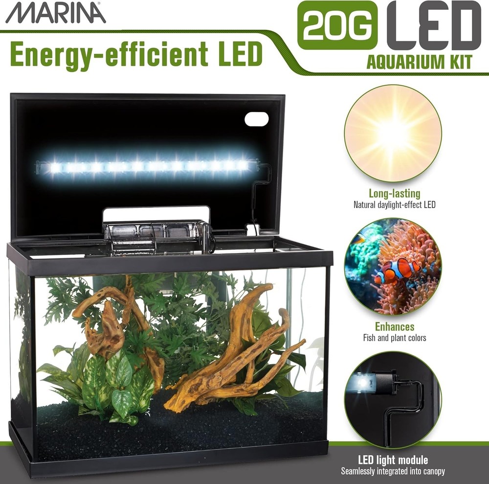 Aquarium Kit 20 Gallon Fish Tank - LED