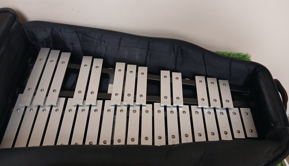 Ludwig Xylophone with Case