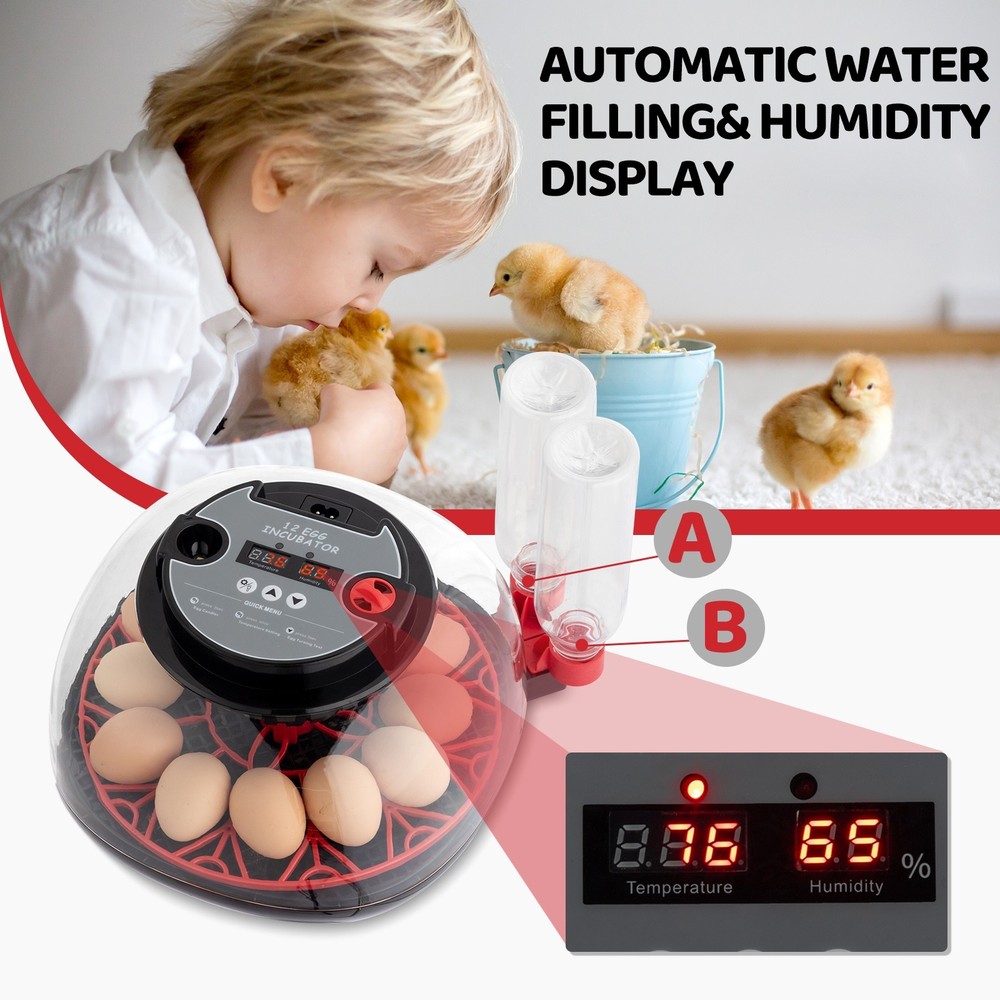 12 Egg Incubator with Automatic Turning, Humidity Control, LED Egg CandlerAC
