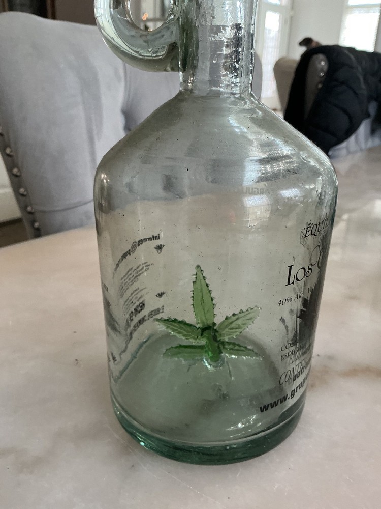 RARE Los Cristeros Marijuana tequila bottle. Hand blown empty