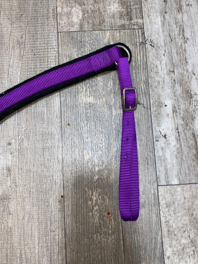 TRIPLE E PURPLE WITH FELT BACK WESTERN BREAST COLLAR