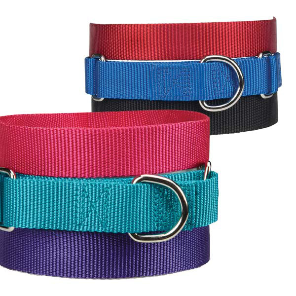 Martingale Dog Collars Adjustable Nylon Choke No Pull Training Pick Color & Size