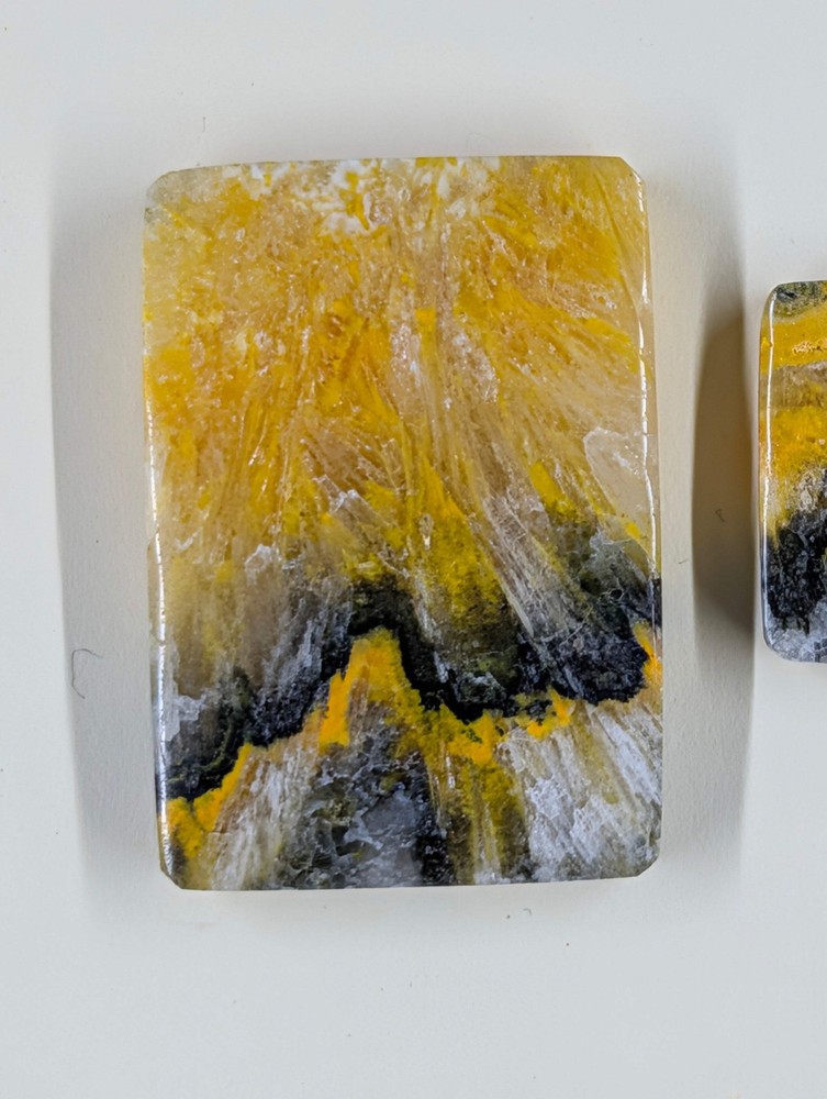 Rectangle Shape - Bumblebee Jasper - Design-Ready Set