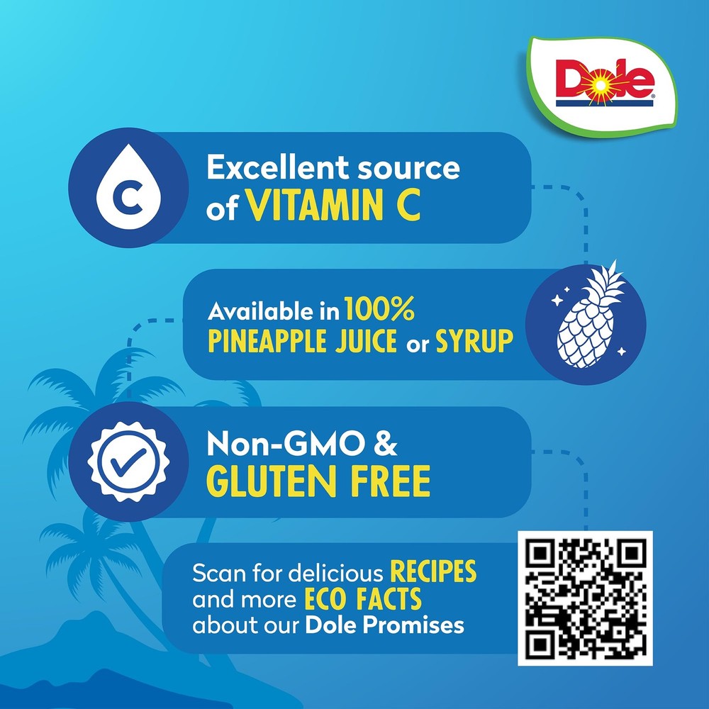 Dole Canned Pineapple Chunks in Heavy Syrup, 20 Oz, 12 Count