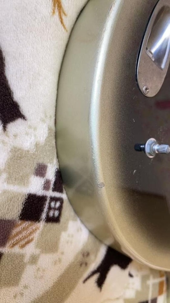 Bunny Burny Electric Bass