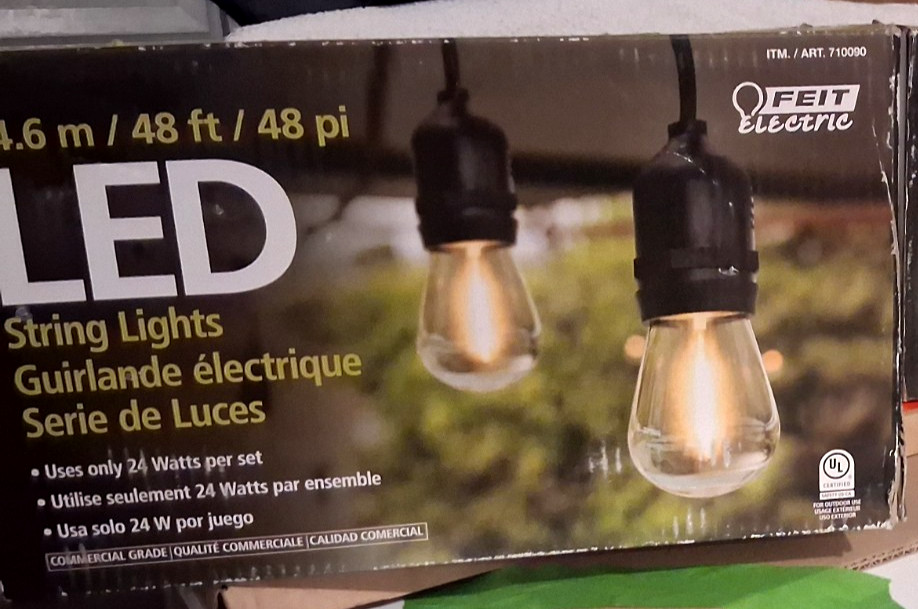 1  FEIT Electric 48' LED Filament String Light Set NEW