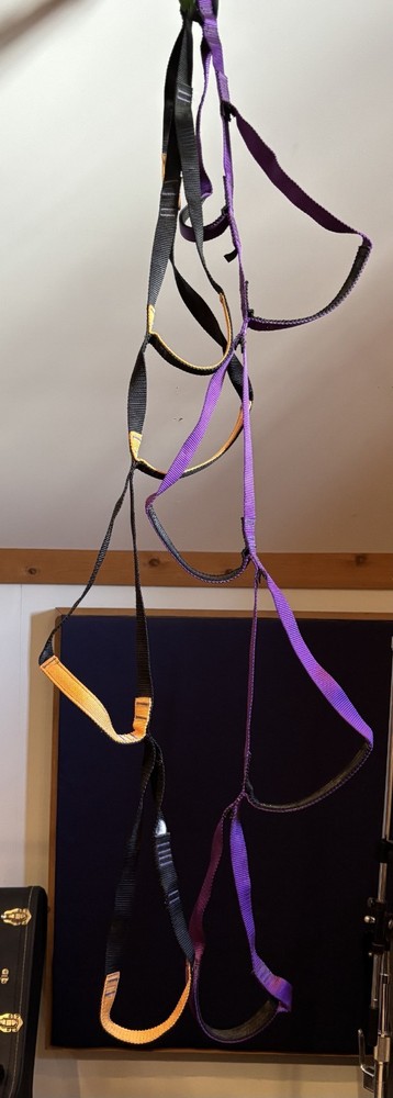 Climbing Black Diamond Etriers