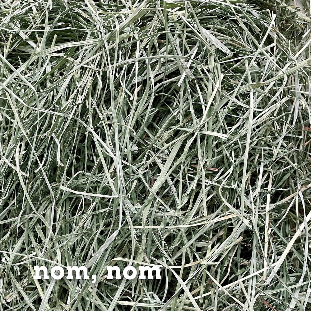 Bunny Honey Orchard Grass Hay 5lb