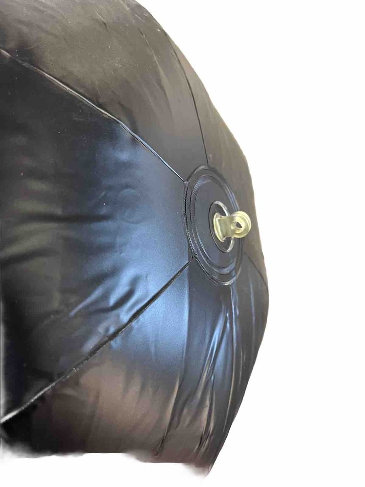 Bird, scaring balloon