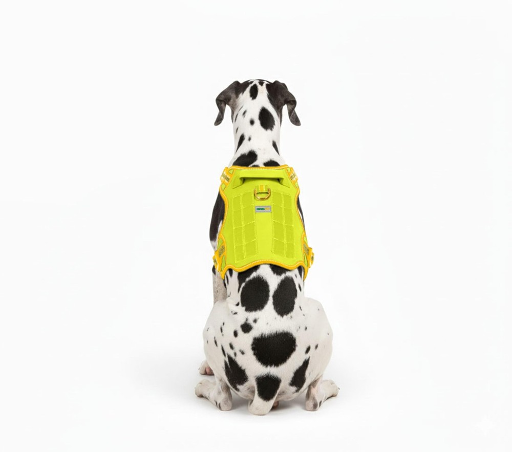 . Premium No-Pull Tactical Dog Harness with Adjustable Straps Soft Padded Des...