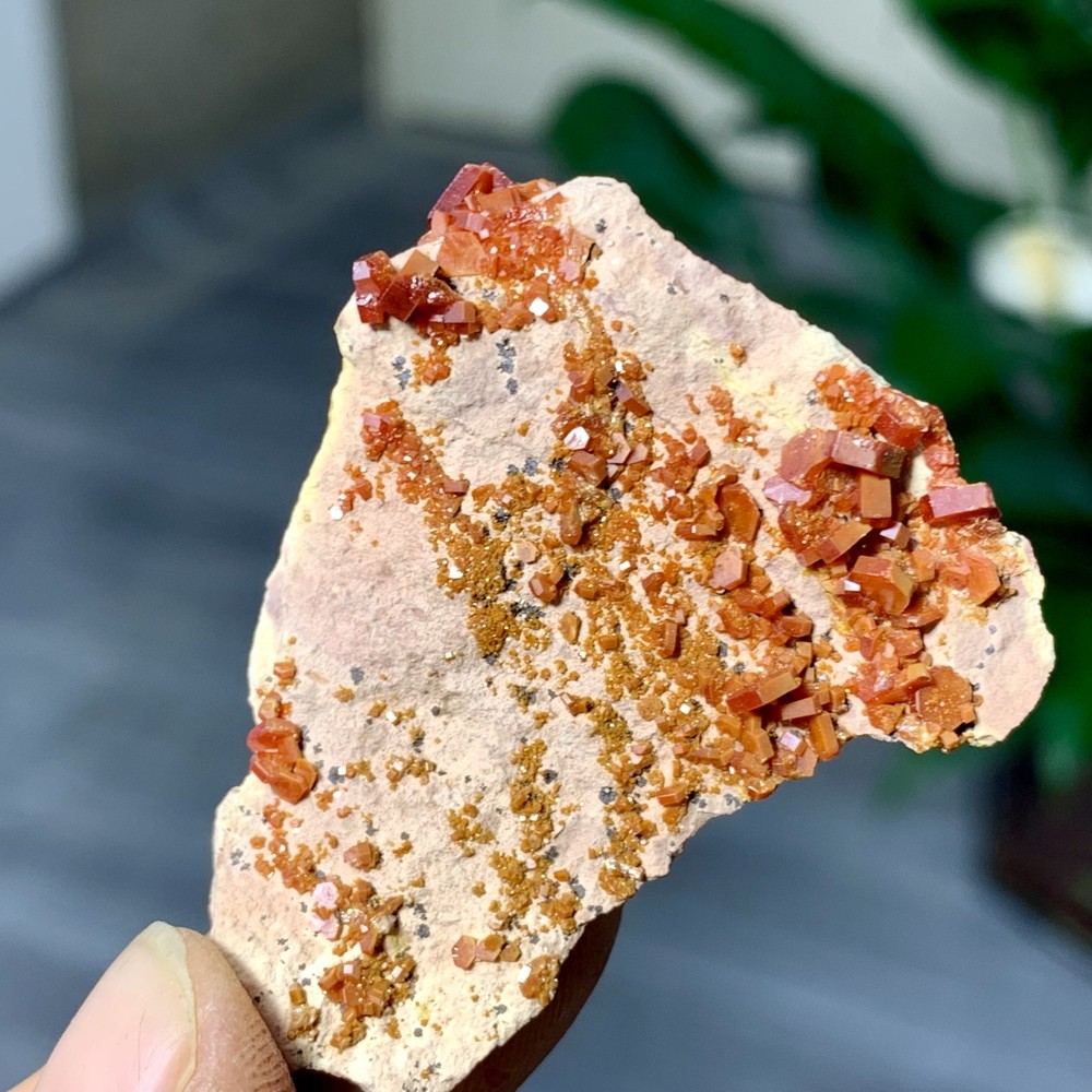 21GNatural Beautiful Vanadinite Atone Cluster Quartz Mineral SamplefromMorocco