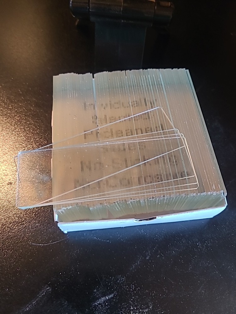 Premiere Microscope Slides 1/2 Gross plain, fine ground edge 9101-E