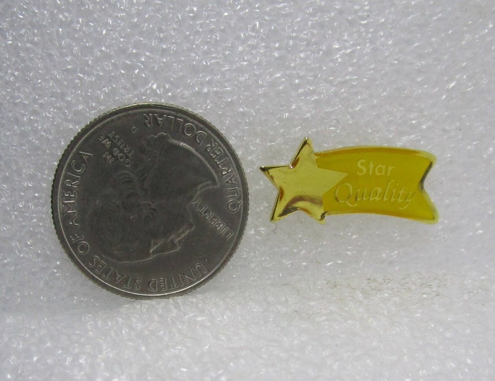 Star Quality Pin
