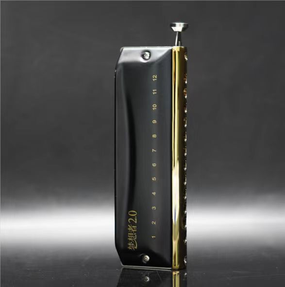 EASTTOP 12Hole Updated Version Chromatic Harmonica Key C Mouth Organ Harmonica
