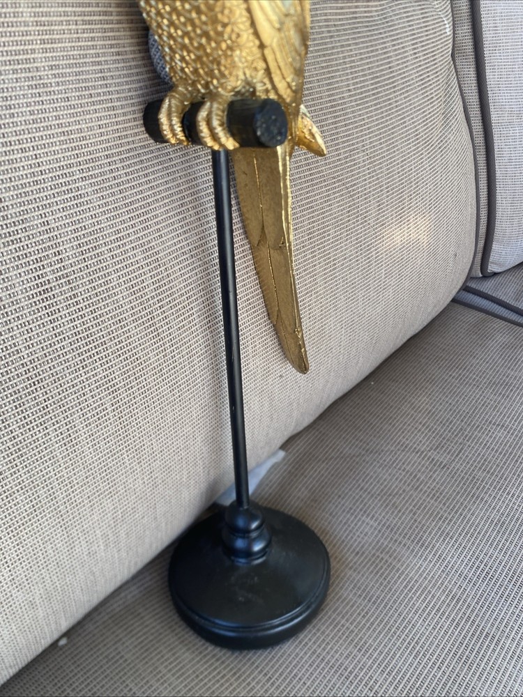 Golden Parrot Perched On Stand