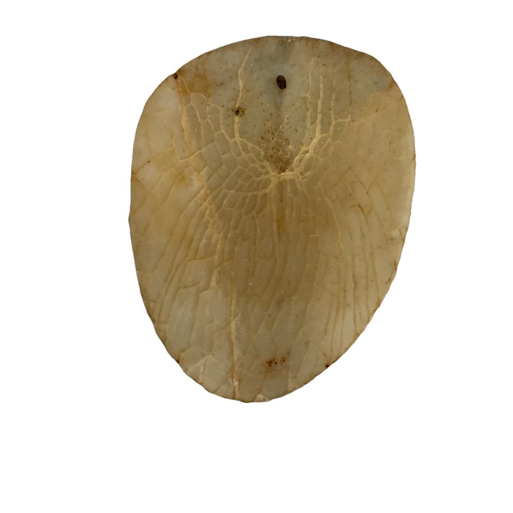 Tarpon Fish Scale~Natural Finger File