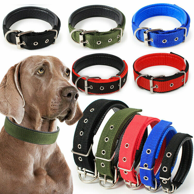 Comfortable Adjustable Nylon Strap Dog Collar Pet Dog Solid Plus Size Pet Collar
