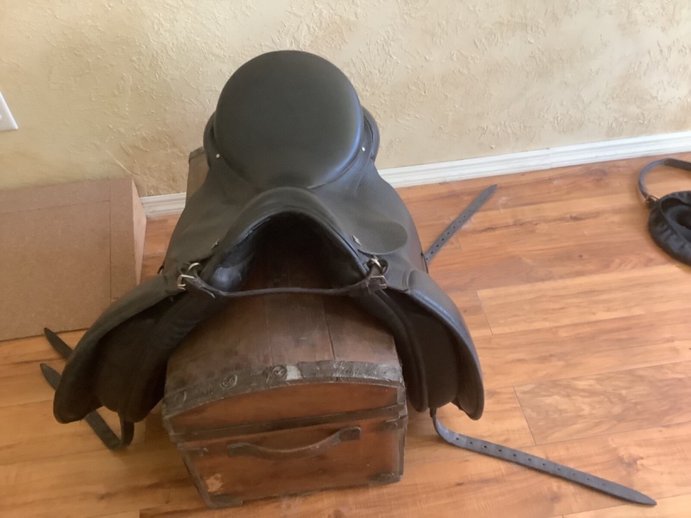 Anky dressage saddle- Extra Wide
