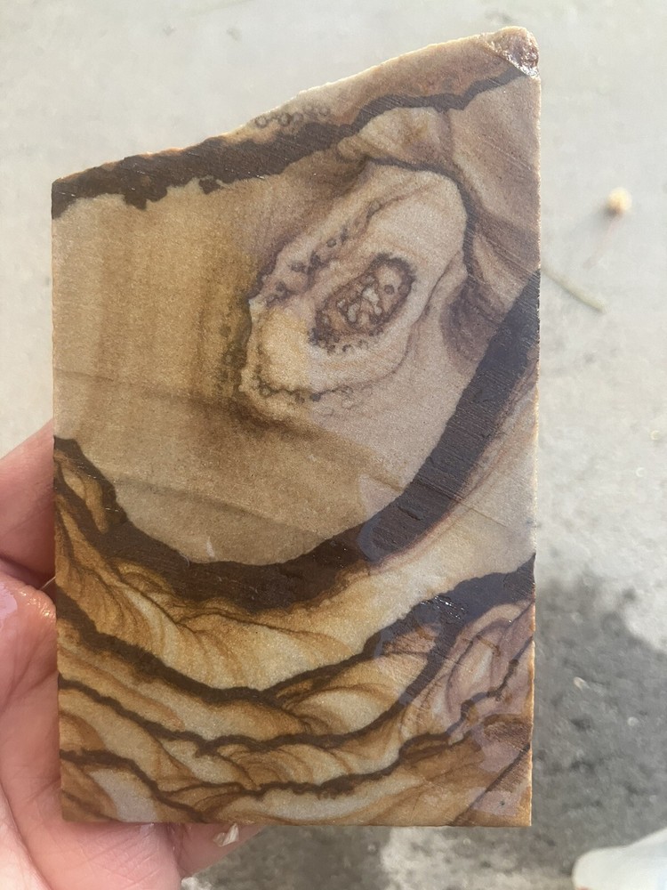 Lansdscape Sandstone Slab