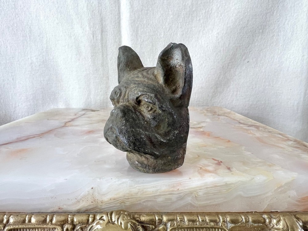 Antique Solid Bronze Bulldog Head Architectural Mount c1900