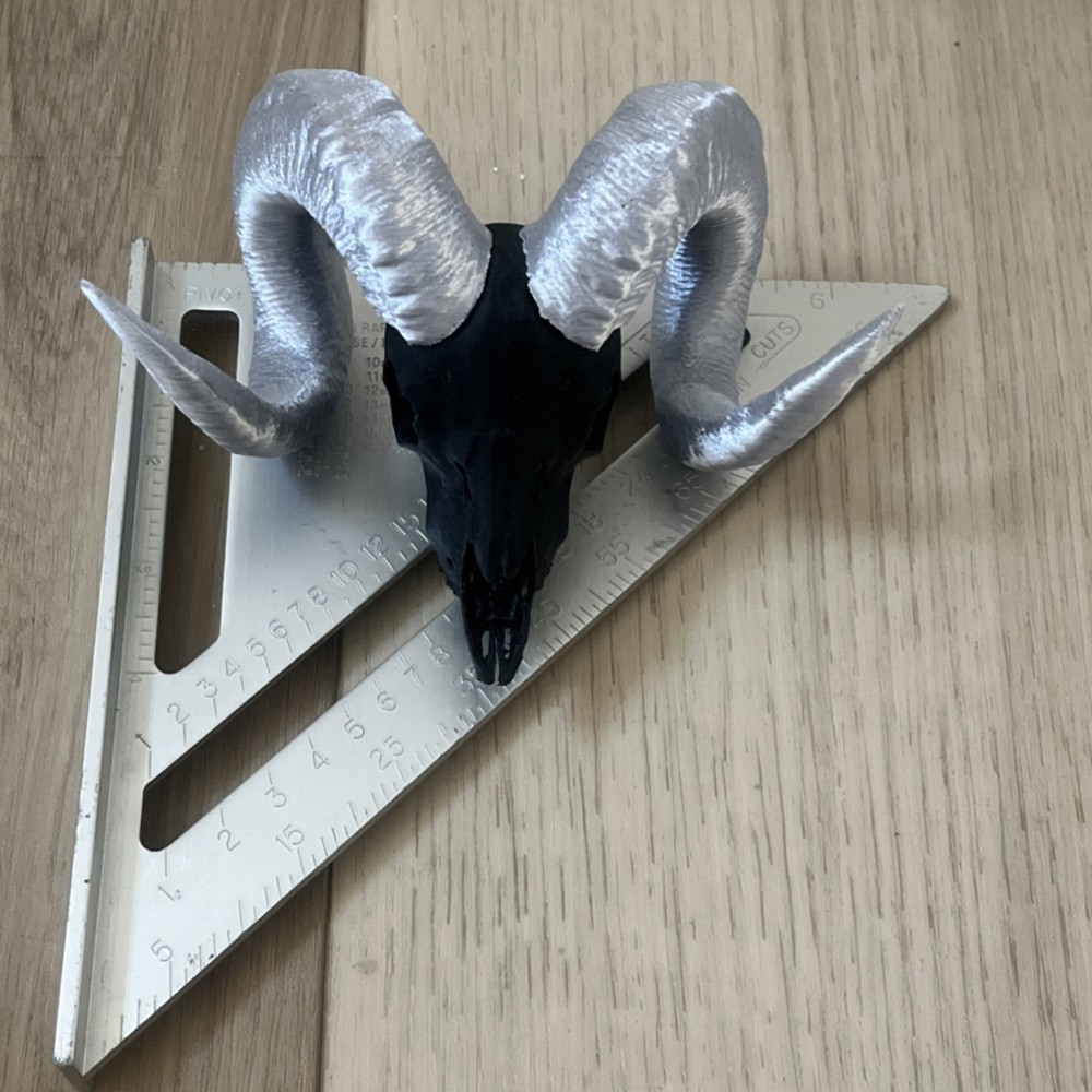 Ram Skull Replica with Curled Gray Horns Decorative Skull