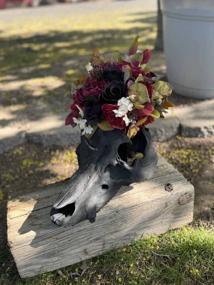 Pig Skull