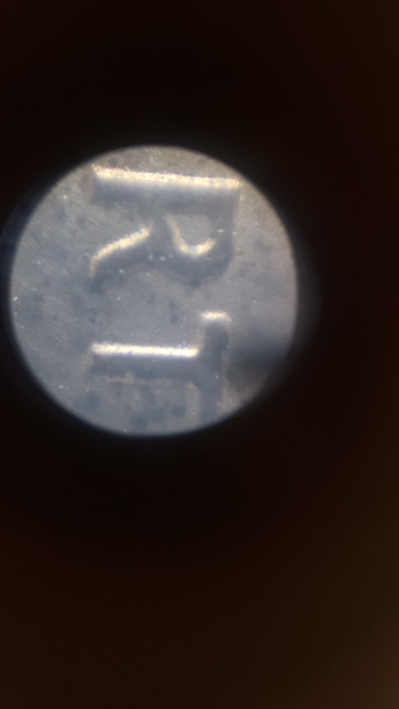 Scope it Out! Microscopic Adventures book and Microscope kit (1 magnification)