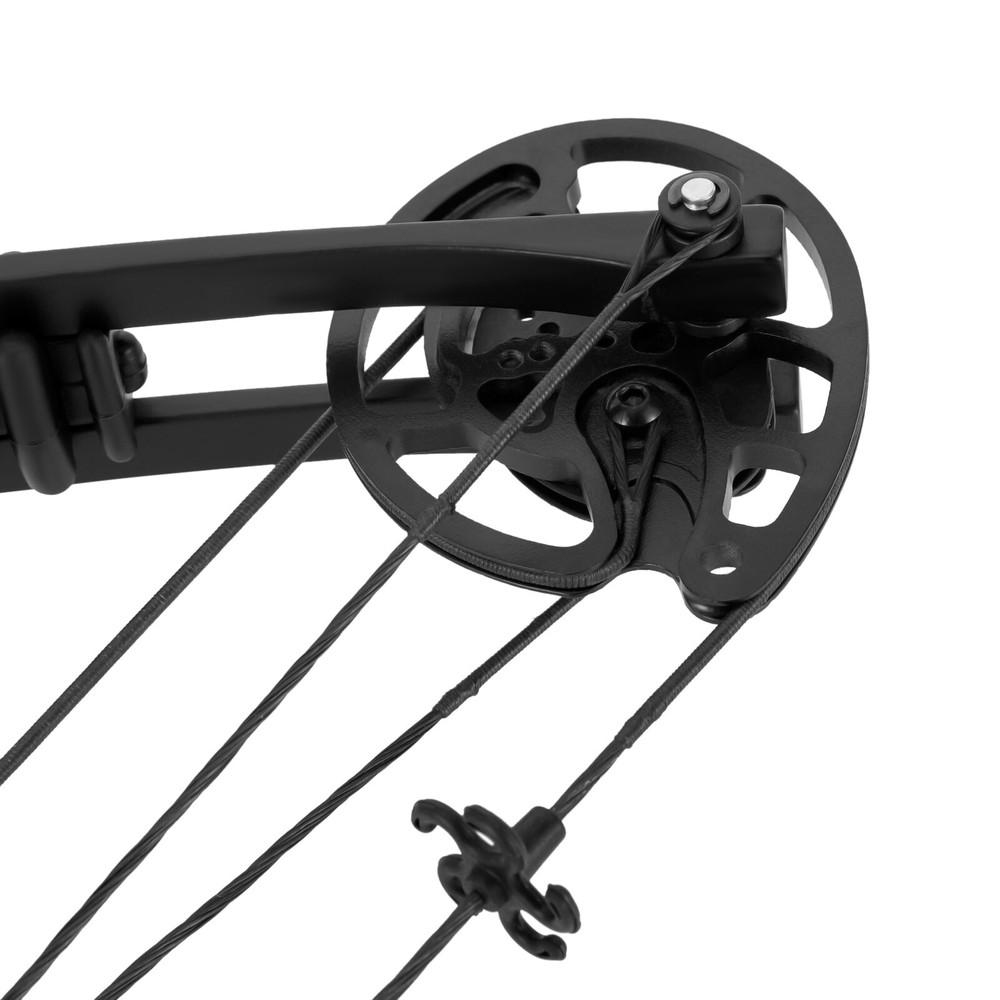 Compound Bow+Arrows Kit Archery Set Adjustable & Portable Bow Hunting Kit