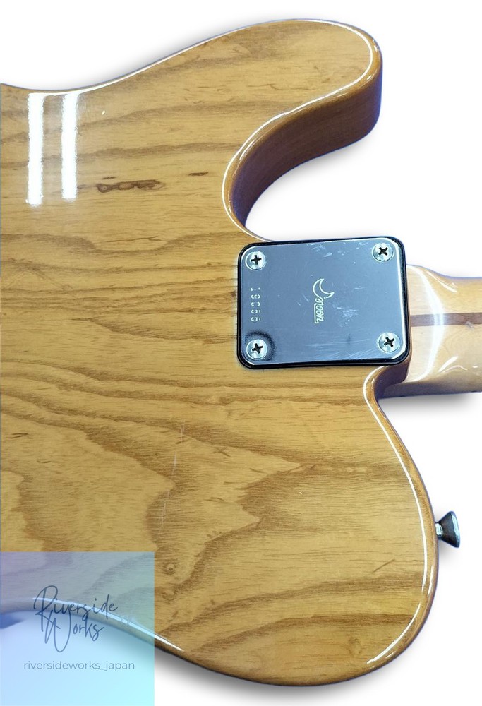 MOON Electric Guitar