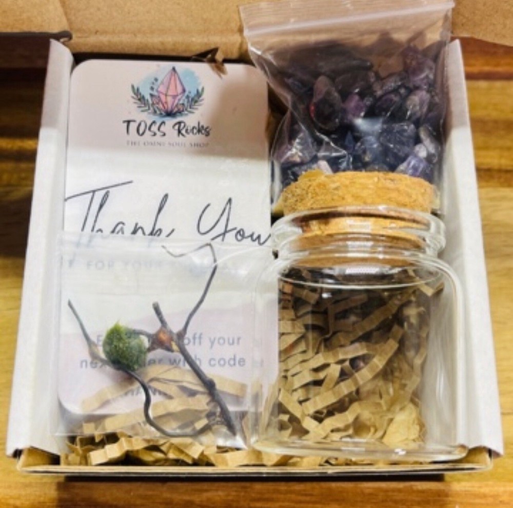 Marimo Moss Ball Terrarium