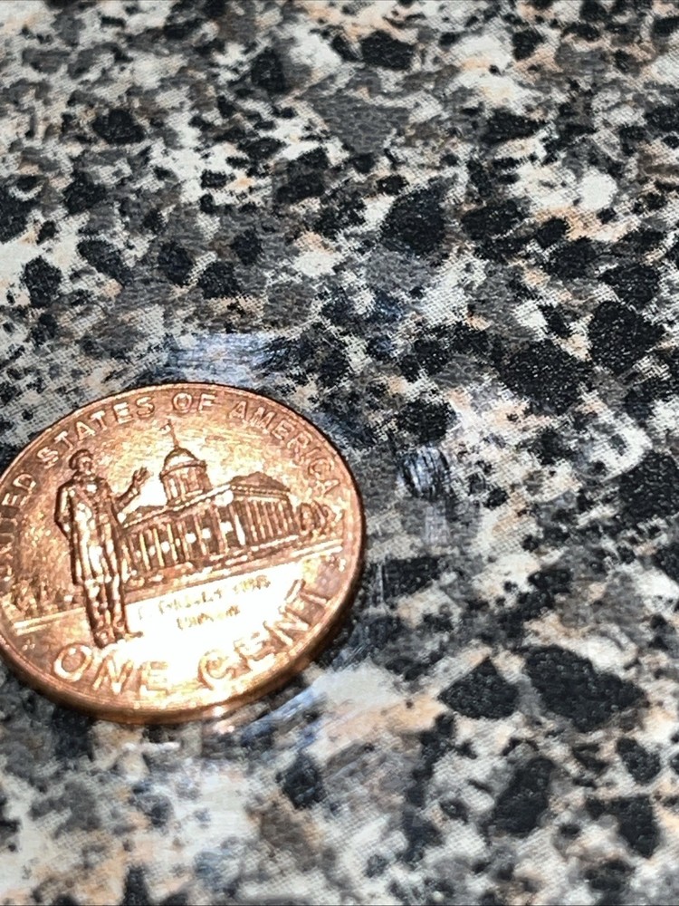 2009 Red Brown Lincoln Penny No Mint Mark