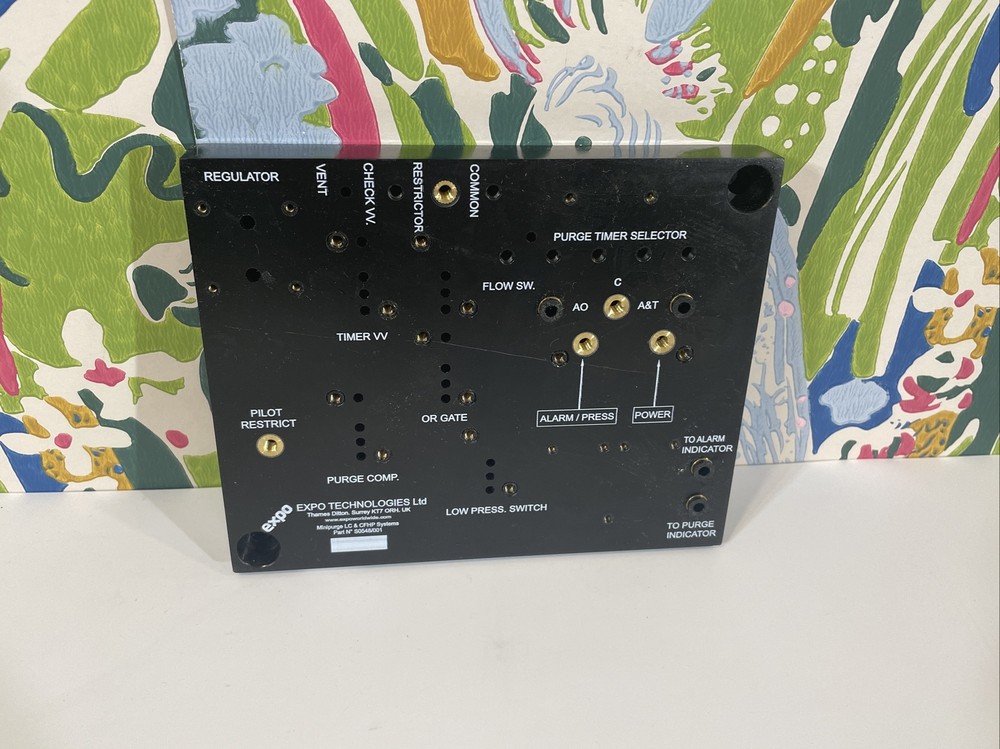 Expo Technologies Ltd - Mini Purge System Timer Selection Board Part# S0548/001