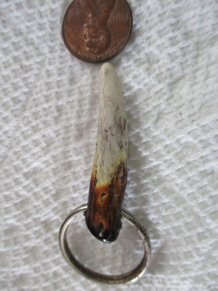 Polished Antler Keychain