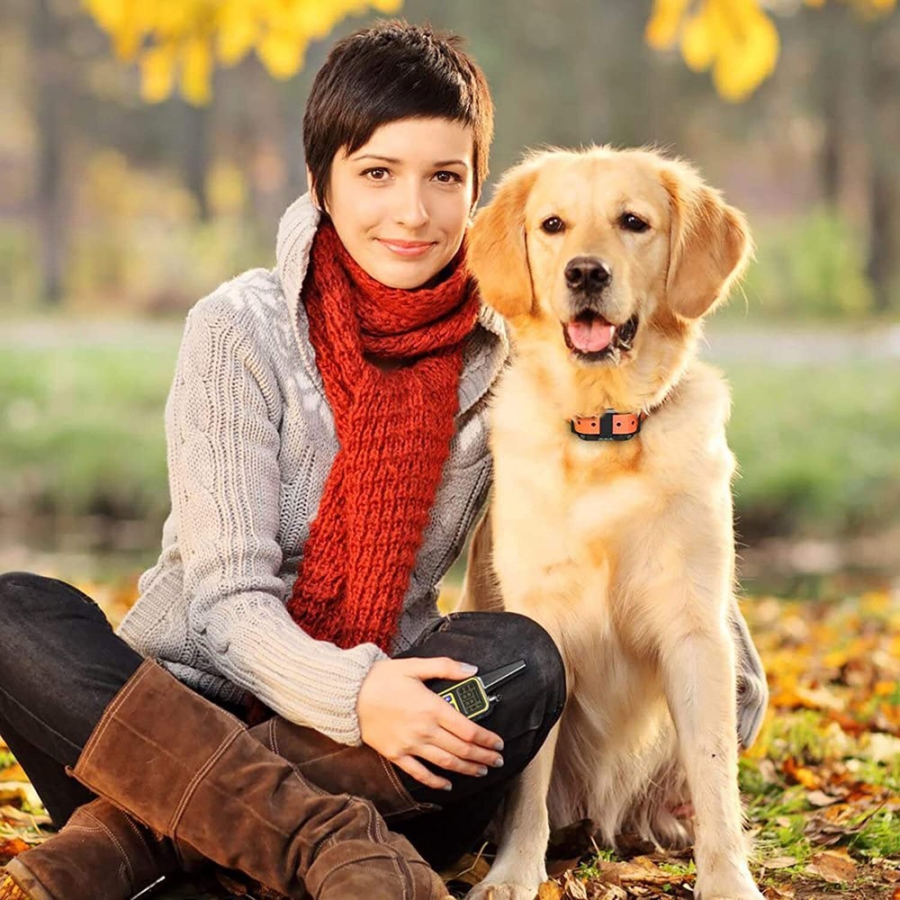 Dog Training Collar w/ Remote Waterproof Rechargeable LED 2600ft Control