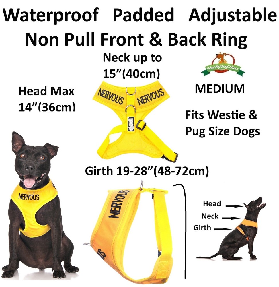 Nervous Yellow Color Coded Waterproof Padded Adjustable Non Pull Front and...