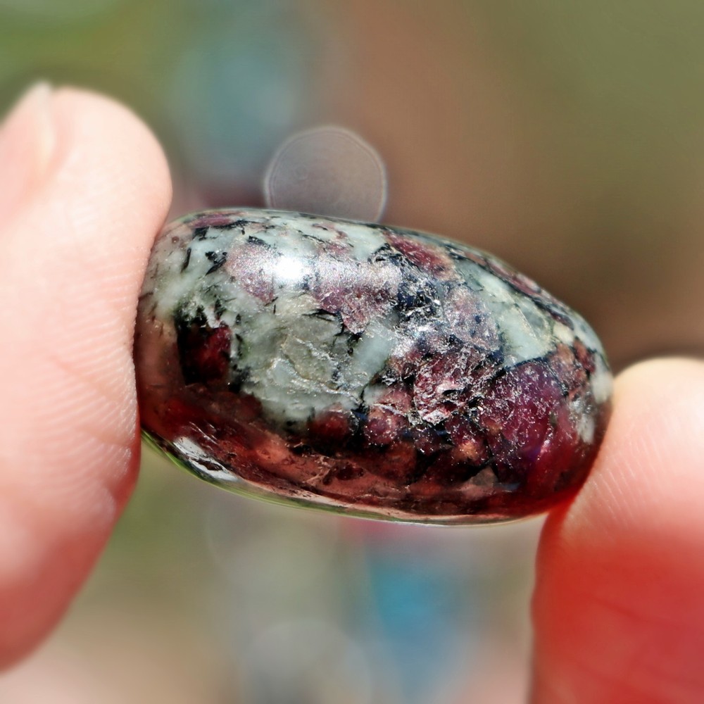 Polished Eudialyte (EUD42)