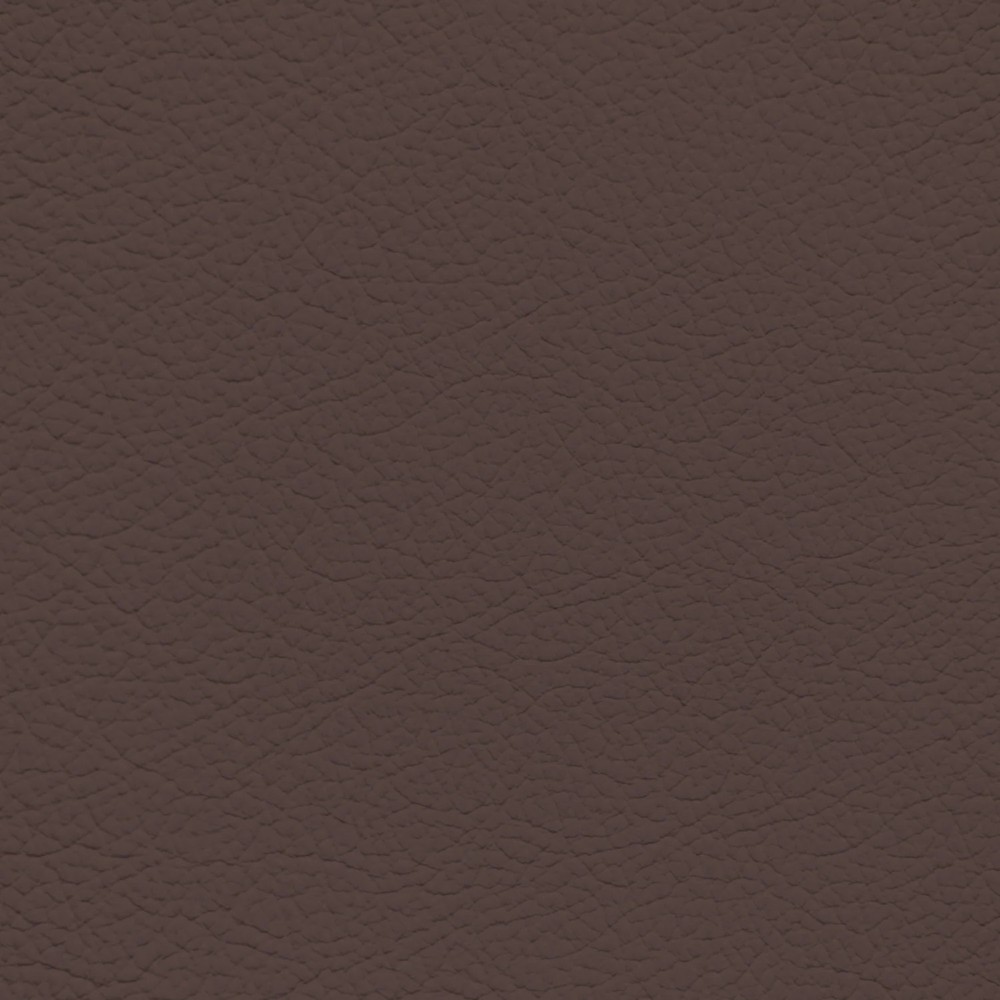 Infiniti Java Leather Dye