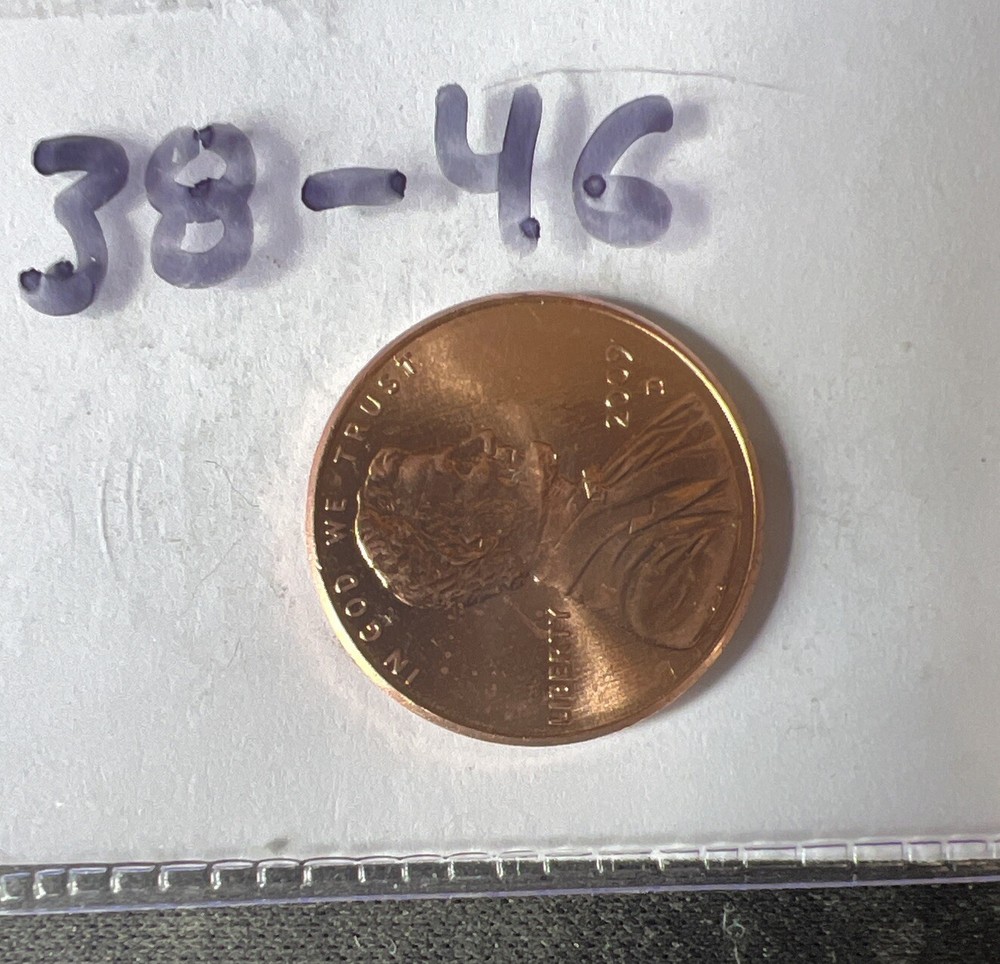 2009 d lincoln Professional Coin