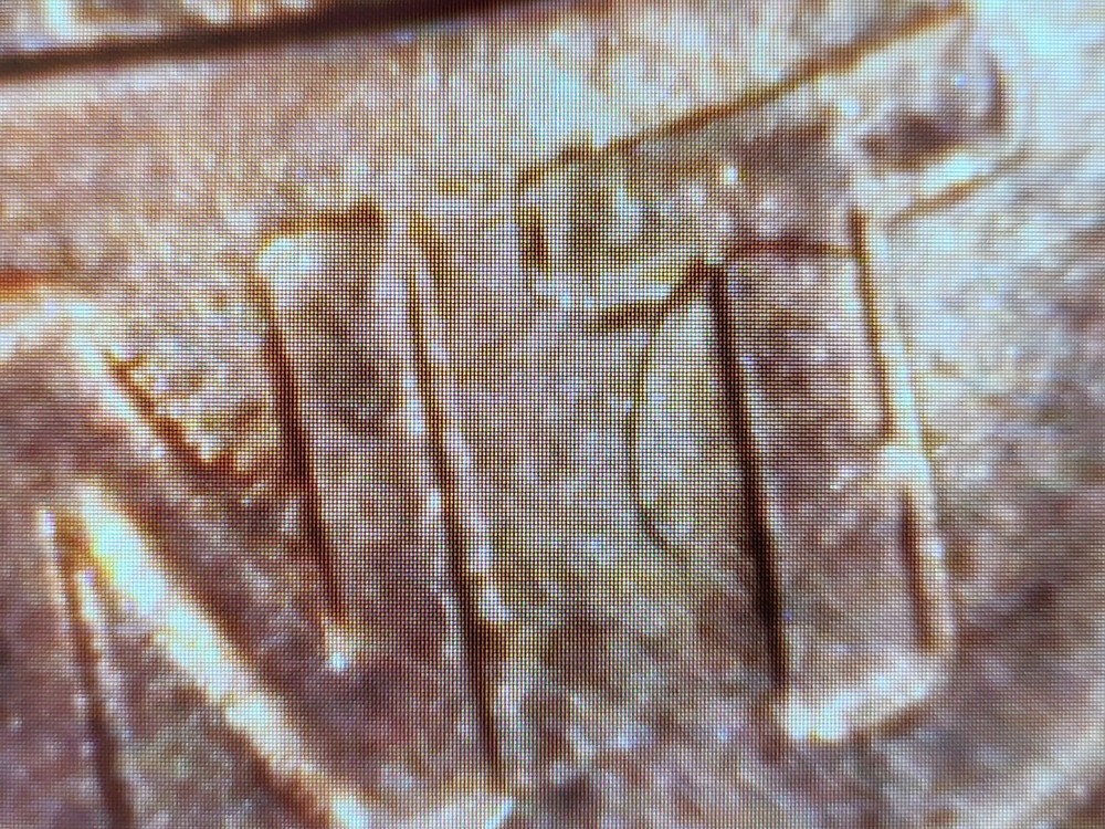 2022 D Penny With Errors..!