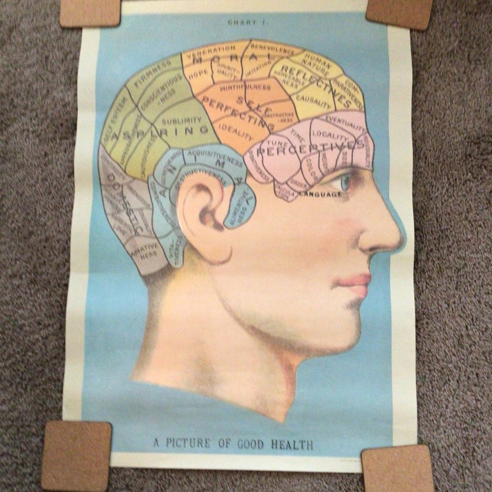 psychological head chart