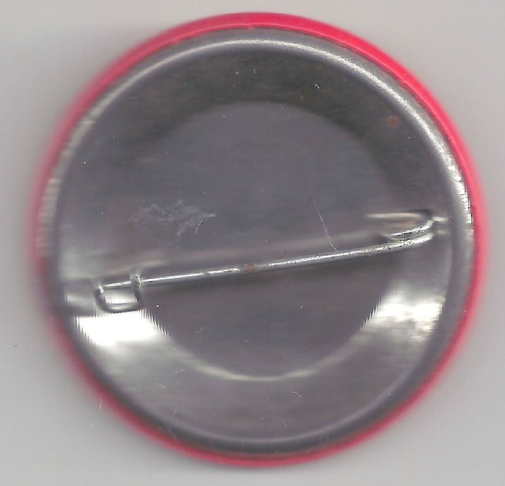 STOP! Nuclear Power Nuclear Weapons Pin