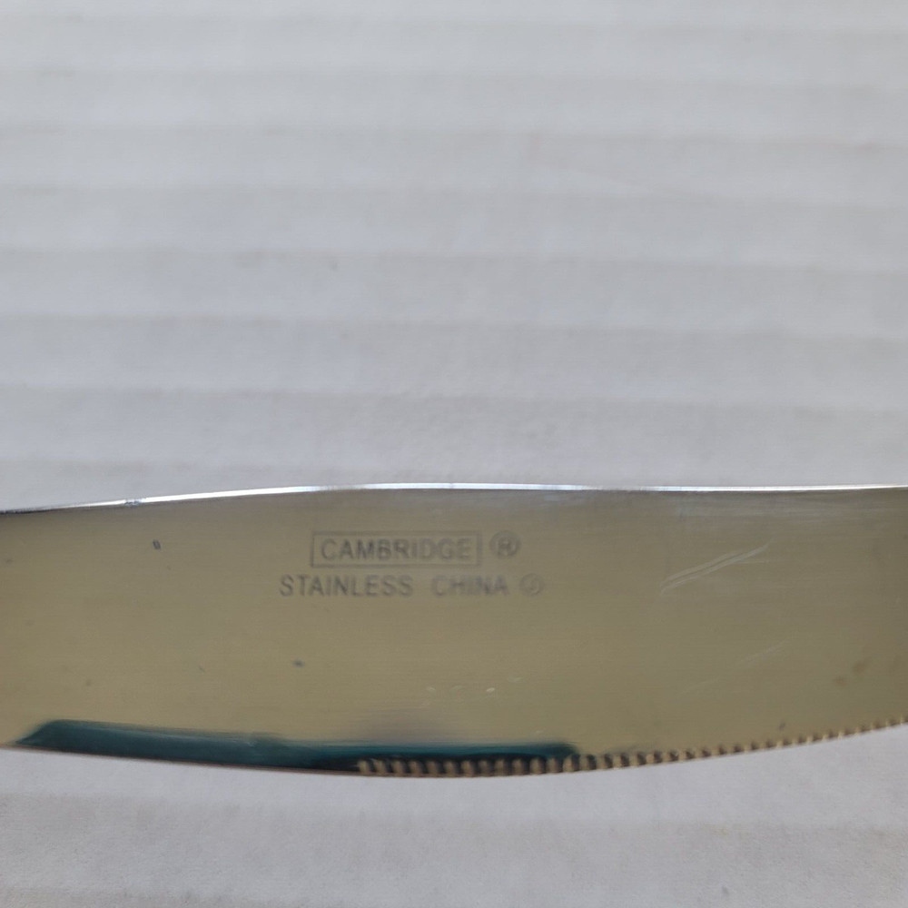 Cambridge Felicity Modern Solid Knife Frosted Glossy Curve Flatware