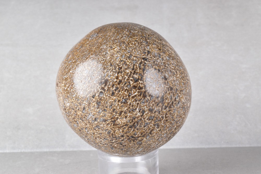 Dinosaur Bone Sphere from Morocco 6.8 cm # 21482