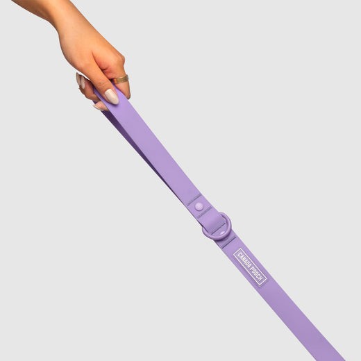 NWT - Canada Pooch WATERPROOF Leash - Lavender - SIZE: Small/Medium